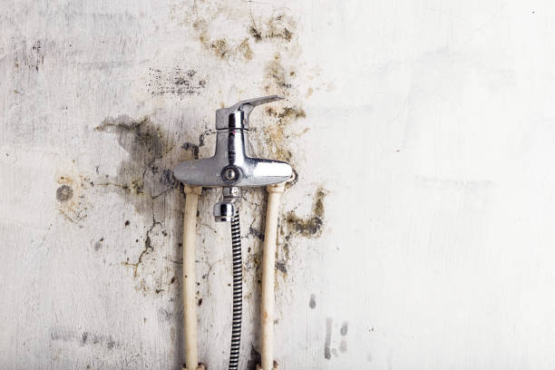 Best Bathroom Mold Remediation in Lithia Springs, GA