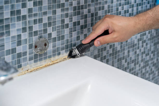 Best Emergency Mold Remediation in Lithia Springs, GA
