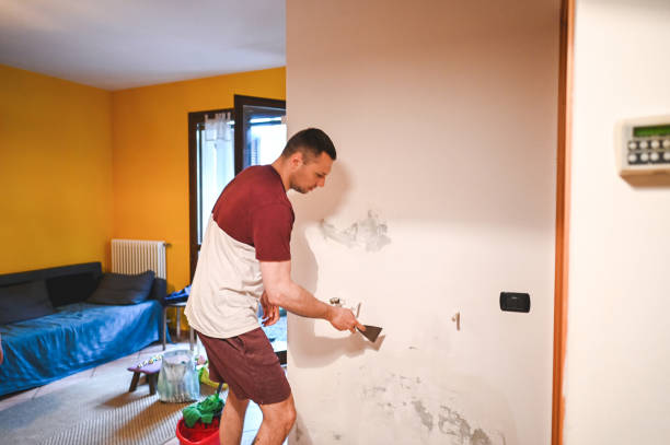 Best Mold Remediation for Specific Building Types in Lithia Springs, GA