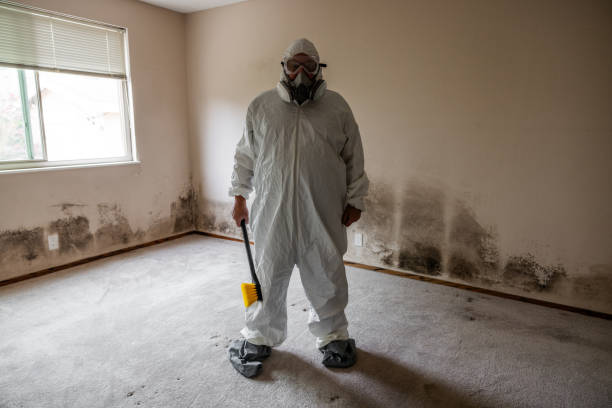 Professional Mold Remediation in Lithia Springs, GA